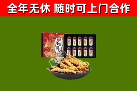 同德县回收冬虫夏草价格